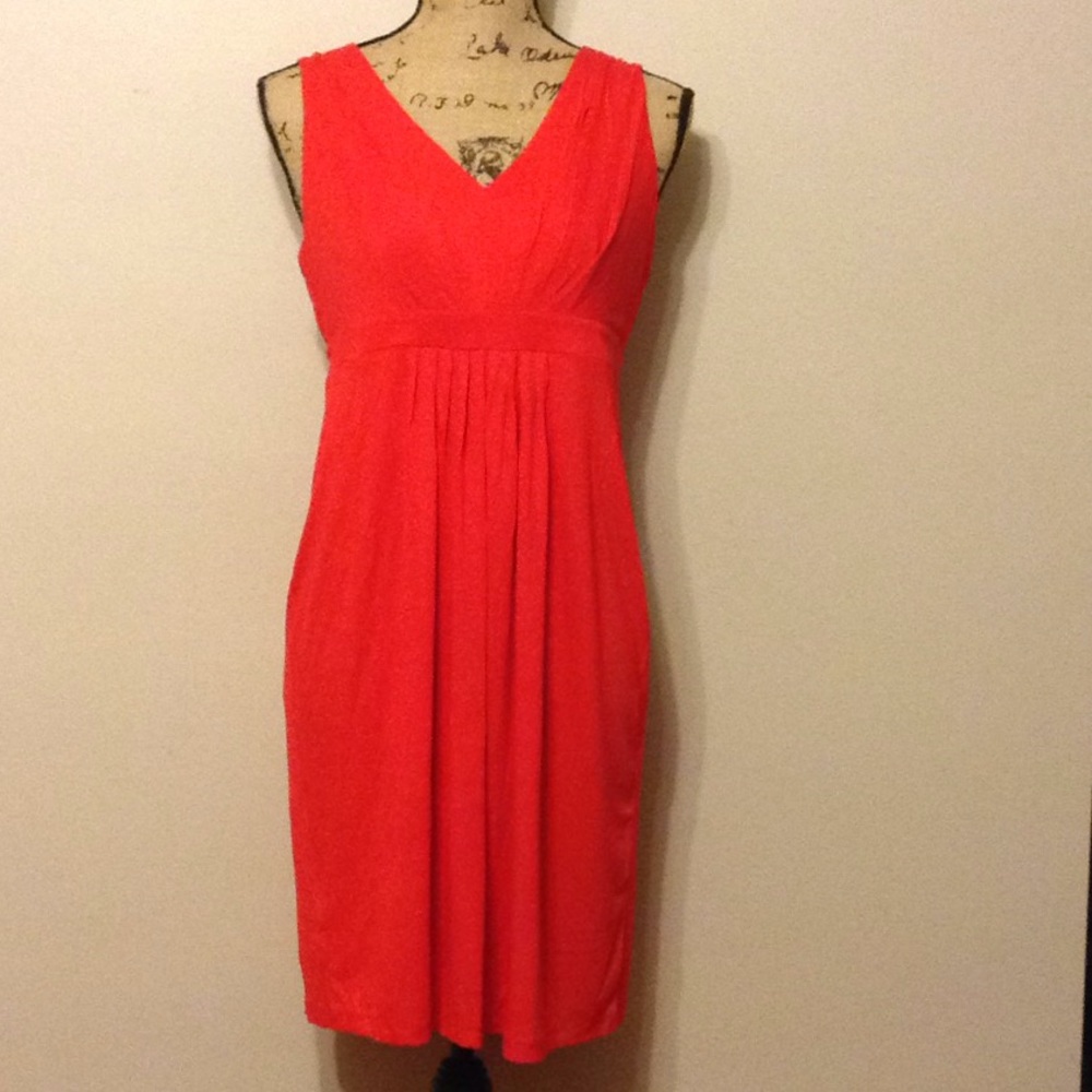 Loft Dress- NWT